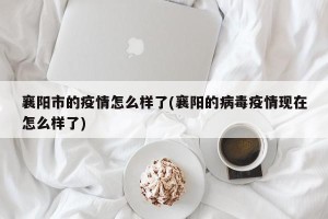 襄阳市的疫情怎么样了(襄阳的病毒疫情现在怎么样了)