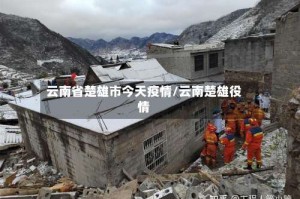 云南省楚雄市今天疫情/云南楚雄役情