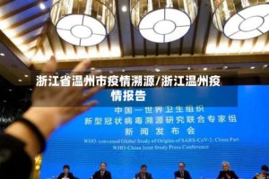 浙江省温州市疫情溯源/浙江温州疫情报告