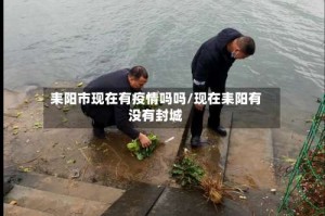 耒阳市现在有疫情吗吗/现在耒阳有没有封城