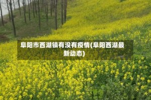 阜阳市西湖镇有没有疫情(阜阳西湖最新动态)