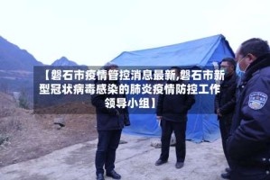 【磐石市疫情管控消息最新,磐石市新型冠状病毒感染的肺炎疫情防控工作领导小组】