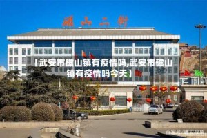 【武安市磁山镇有疫情吗,武安市磁山镇有疫情吗今天】