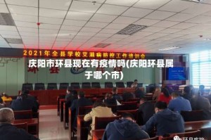 庆阳市环县现在有疫情吗(庆阳环县属于哪个市)