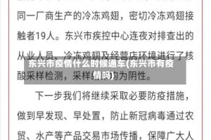 东兴市疫情什么时候通车(东兴市有疫情吗)