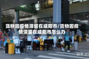 货物因疫情滞留在咸阳市/货物因疫情滞留在咸阳市怎么办