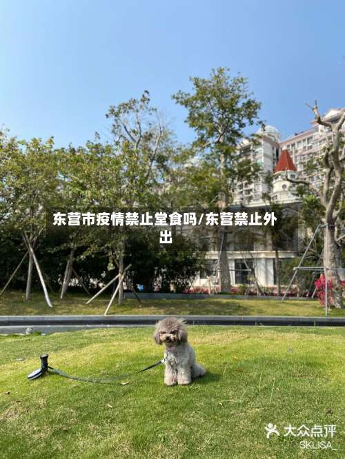 东营市疫情禁止堂食吗/东营禁止外出-第1张图片
