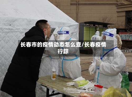 长春市的疫情动态怎么查/长春疫情行踪-第2张图片