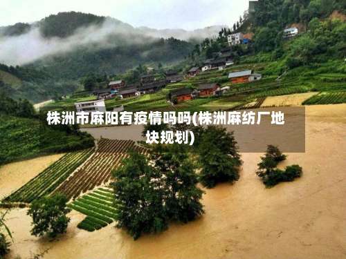 株洲市麻阳有疫情吗吗(株洲麻纺厂地块规划)-第2张图片