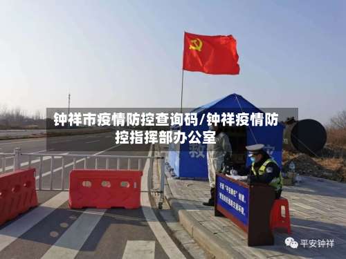 钟祥市疫情防控查询码/钟祥疫情防控指挥部办公室-第3张图片