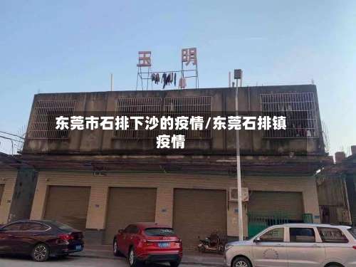 东莞市石排下沙的疫情/东莞石排镇疫情-第1张图片
