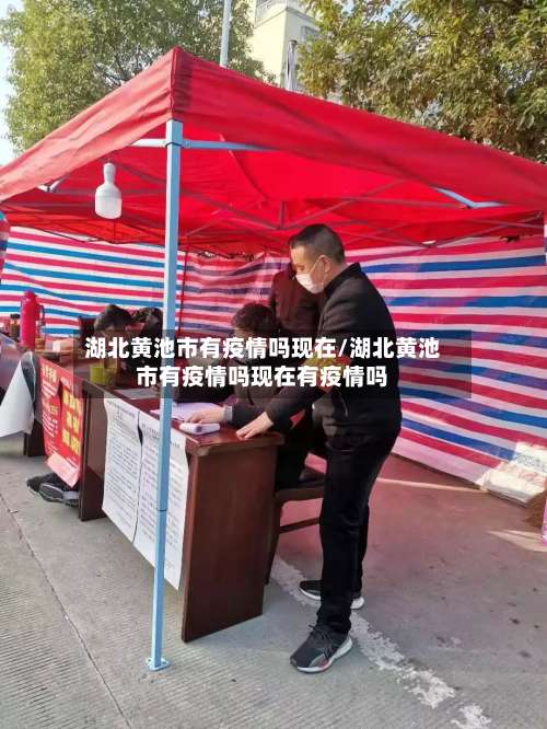 湖北黄池市有疫情吗现在/湖北黄池市有疫情吗现在有疫情吗-第1张图片