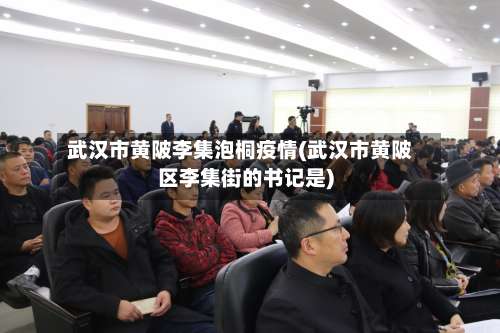 武汉市黄陂李集泡桐疫情(武汉市黄陂区李集街的书记是)-第2张图片