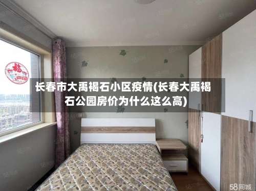 长春市大禹褐石小区疫情(长春大禹褐石公园房价为什么这么高)-第1张图片