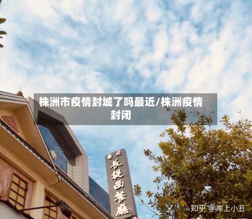 株洲市疫情封城了吗最近/株洲疫情封闭-第3张图片