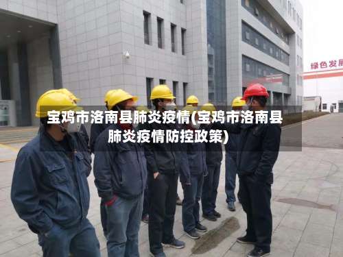 宝鸡市洛南县肺炎疫情(宝鸡市洛南县肺炎疫情防控政策)-第1张图片