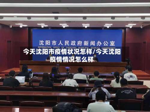 今天沈阳市疫情状况怎样/今天沈阳疫情情况怎么样-第1张图片